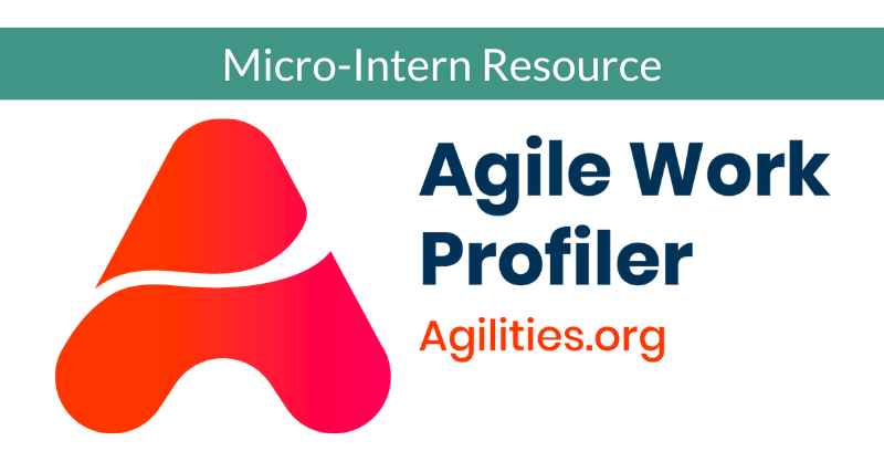 Agile Work Profiler